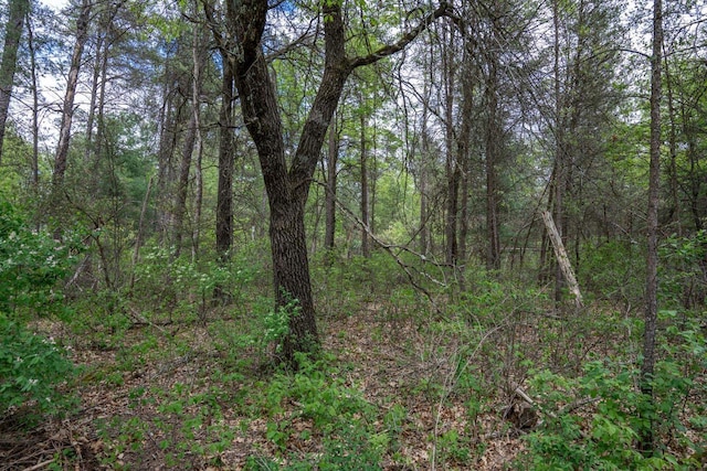 N8378 Timber Trl, New Lisbon, WI 53950 - view of wooded area
