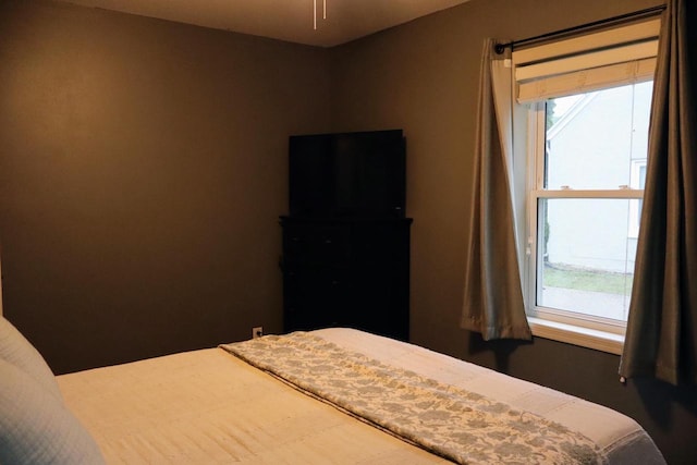 811 Spruce Dr, La Crescent, MN 55947 - view of bedroom