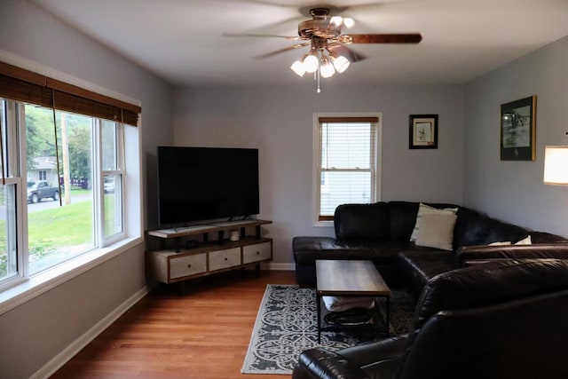 811 Spruce Dr, La Crescent, MN 55947 - living room featuring healthy amount of natural light, a ceiling fan, and light wood finished floors