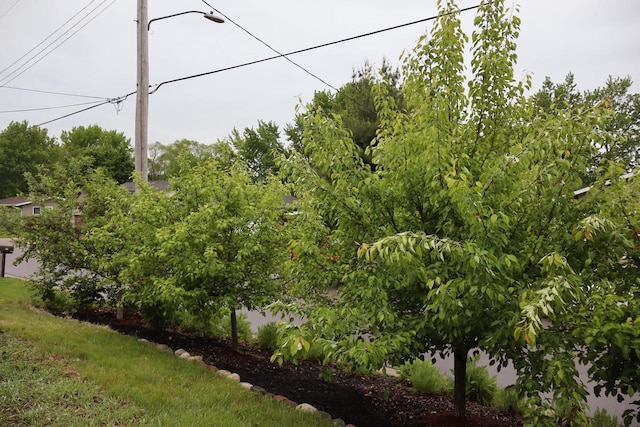 811 Spruce Dr, La Crescent, MN 55947 - view of yard