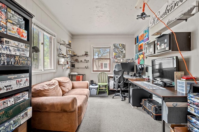 1215 Hastings St, Green Bay, WI 54301 - office space with carpet flooring
