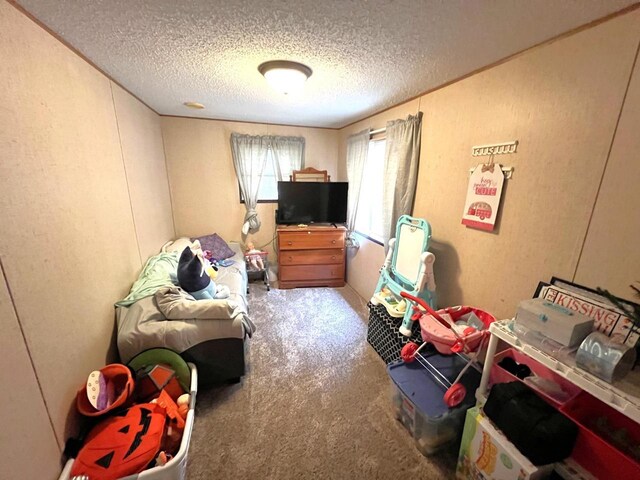 6898 Barbara Dr, Lake Tomahawk, WI 54539 - playroom with carpet floors and a textured ceiling