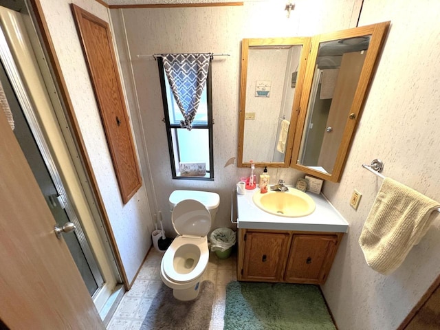 6898 Barbara Dr, Lake Tomahawk, WI 54539 - bathroom with vanity, toilet, and a textured wall