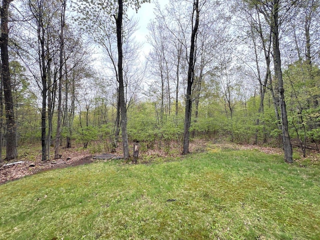 6898 Barbara Dr, Lake Tomahawk, WI 54539 - view of grassy yard with a forest view