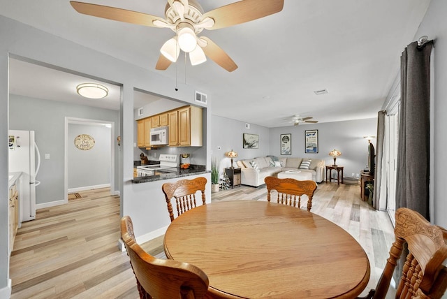 348 County Road B 8, Fontana, WI 53125 - dining space with ceiling fan, light wood-style flooring, and baseboards