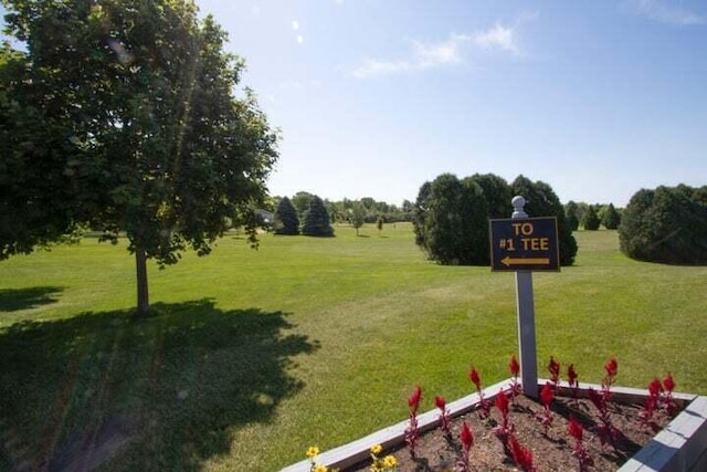 348 County Road B 8, Fontana, WI 53125 - view of grassy yard