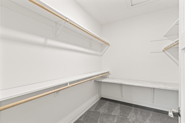 28 Sienna Hills Cir, Mount Horeb, WI 53572 - spacious closet featuring dark carpet