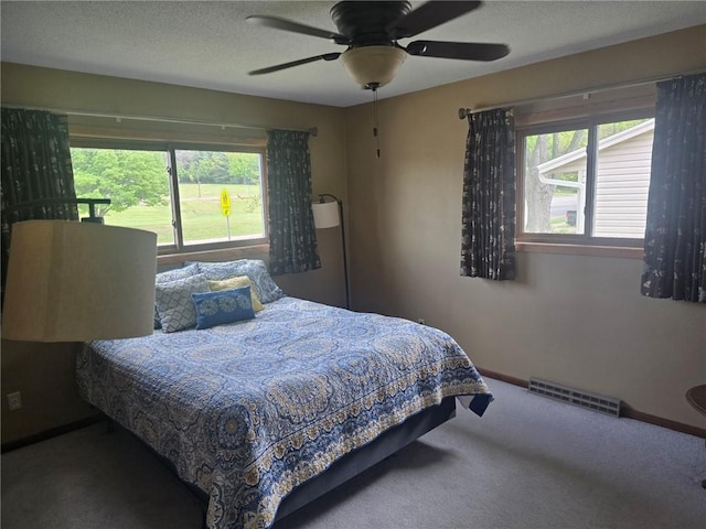 2626 Abbe Hill Dr, Eau Claire, WI 54703 - carpeted bedroom with multiple windows, baseboards, a ceiling fan, and a textured ceiling
