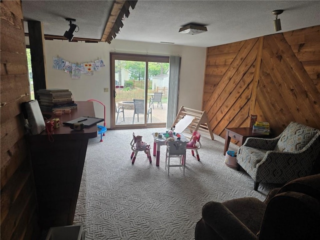 2626 Abbe Hill Dr, Eau Claire, WI 54703 - playroom featuring carpet flooring, a textured ceiling, and track lighting