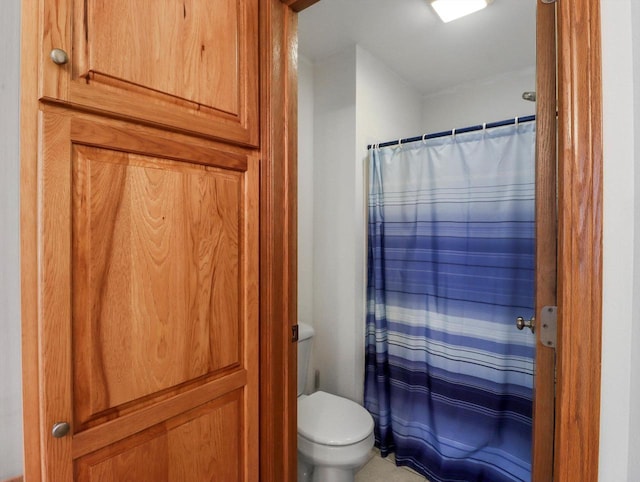 W11065 Menominee Rd, Portage, WI 53901 - bathroom with toilet and a shower with shower curtain