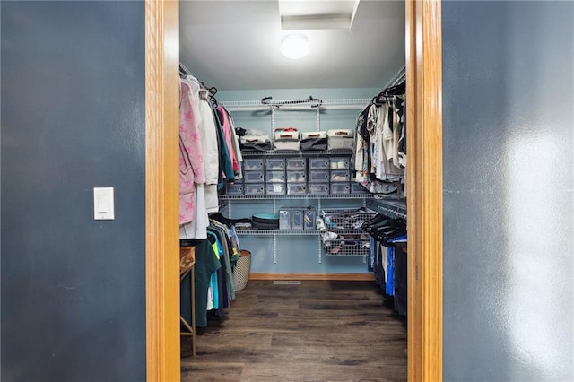 819 Fairway Cir, Black River Falls, WI 54615 - walk in closet with wood finished floors