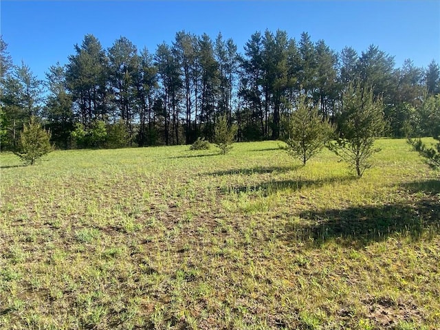 LOT6 Nelson Rd, Chippewa Falls, WI 54729