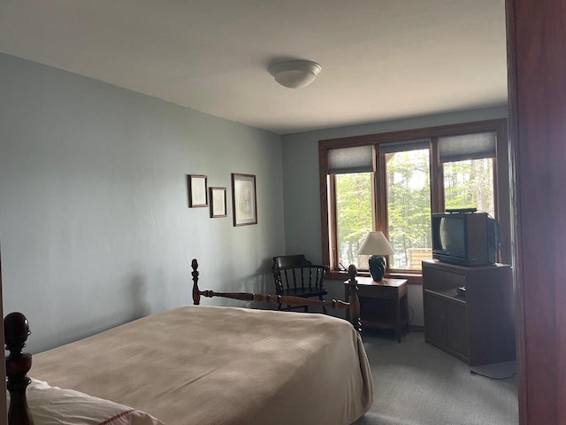 17235 Little Archibald Rd, Townsend, WI 54175 - bedroom featuring carpet