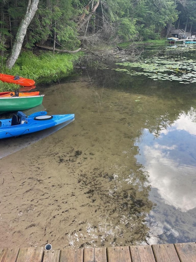 17235 Little Archibald Rd, Townsend, WI 54175 - water view