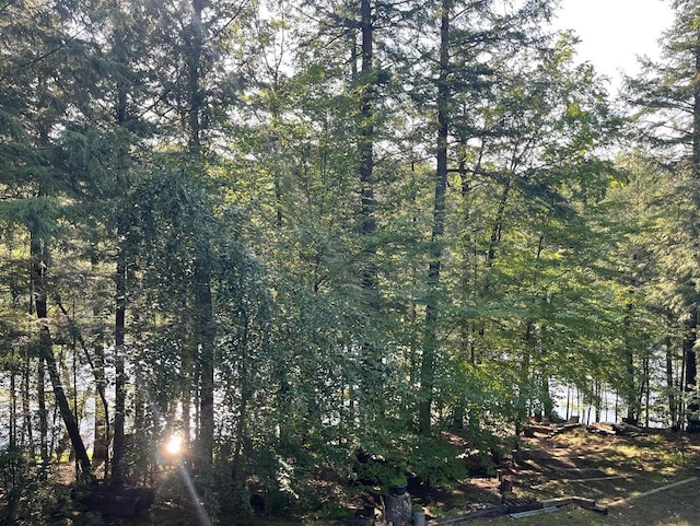 17235 Little Archibald Rd, Townsend, WI 54175 - view of nature