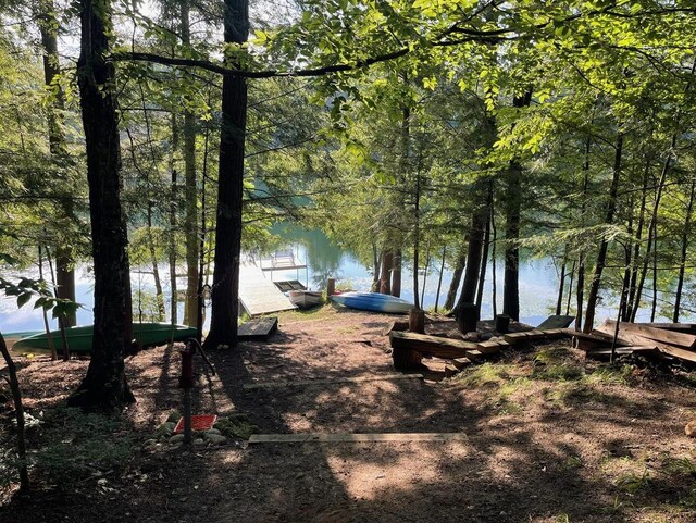 17235 Little Archibald Rd, Townsend, WI 54175 - water view