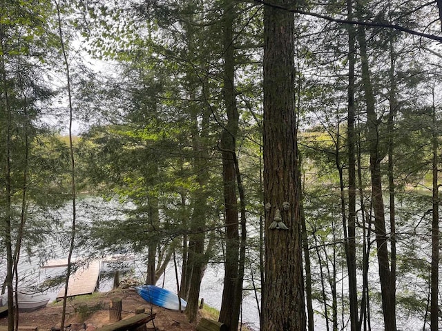 17235 Little Archibald Rd, Townsend, WI 54175 - water view