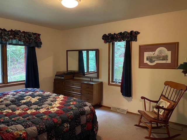 17235 Little Archibald Rd, Townsend, WI 54175 - carpeted bedroom with baseboards
