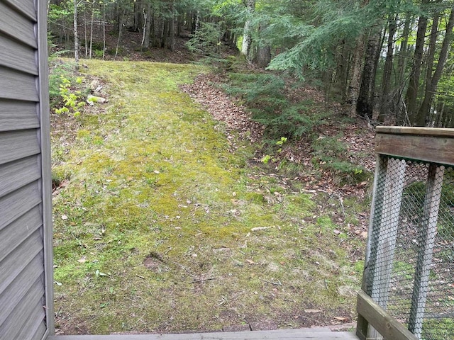17235 Little Archibald Rd, Townsend, WI 54175 - view of yard