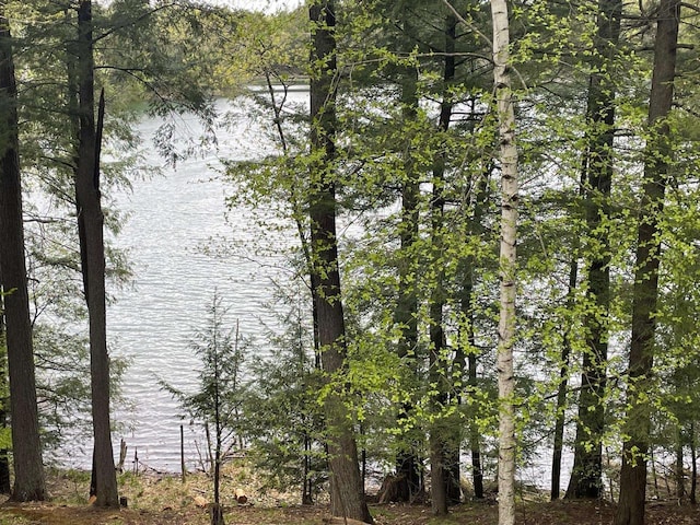 17235 Little Archibald Rd, Townsend, WI 54175 - water view