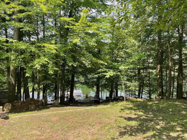17235 Little Archibald Rd, Townsend, WI 54175 - view of yard