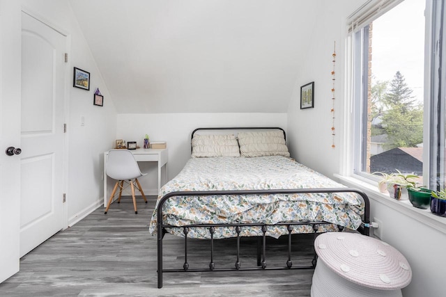 4892 N Mohawk Ave, Glendale, WI 53217 - bedroom featuring vaulted ceiling, multiple windows, and wood finished floors