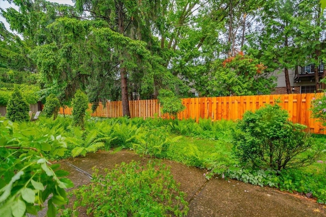 3514 Valley Ridge Rd, Middleton, WI 53562 - view of yard