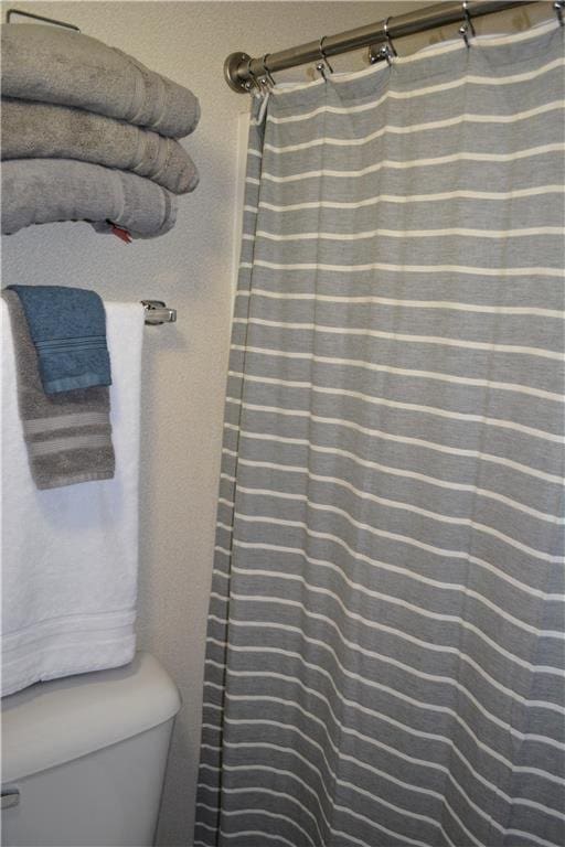 15326 W Birch Point Rd, Hayward, WI 54843 - full bathroom featuring toilet and a shower with shower curtain