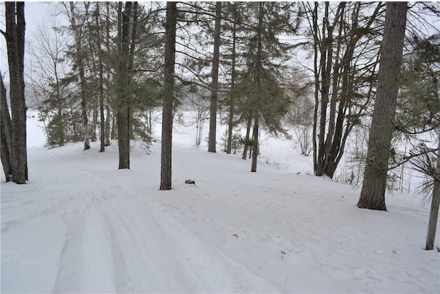 15326 W Birch Point Rd, Hayward, WI 54843 - view of yard layered in snow