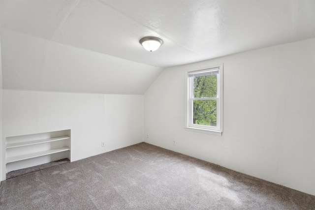815 Madison St, Little Chute, WI 54140 - bonus room with carpet flooring and vaulted ceiling