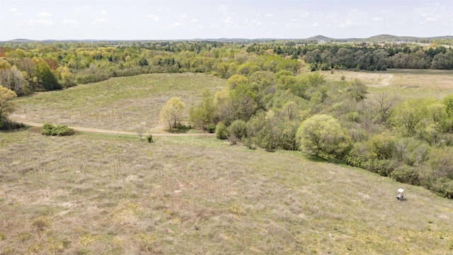 E4347 E Gate Dr, Waupaca, WI 54981 - view of rural area
