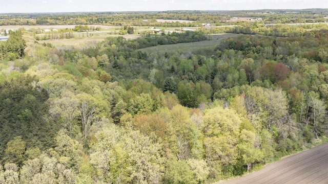 E4347 E Gate Dr, Waupaca, WI 54981 - aerial view of property's location with a forest