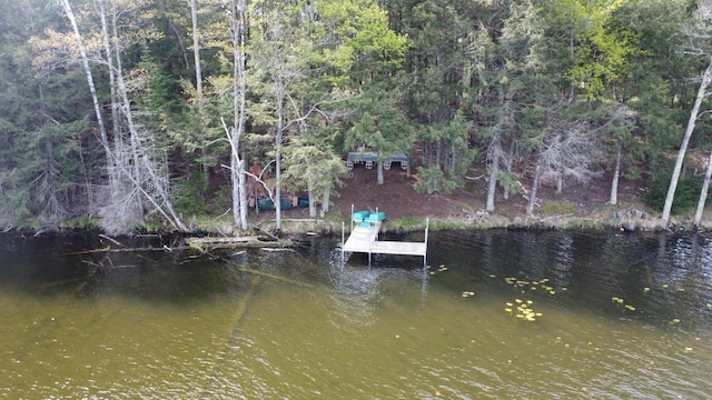 LOT19 Wistful Vista Rd, White Lake, WI 54491