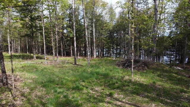 LOT19 Wistful Vista Rd, White Lake, WI 54491