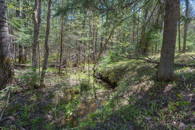 1437 E Severson Rd, Foxboro, WI 54836
