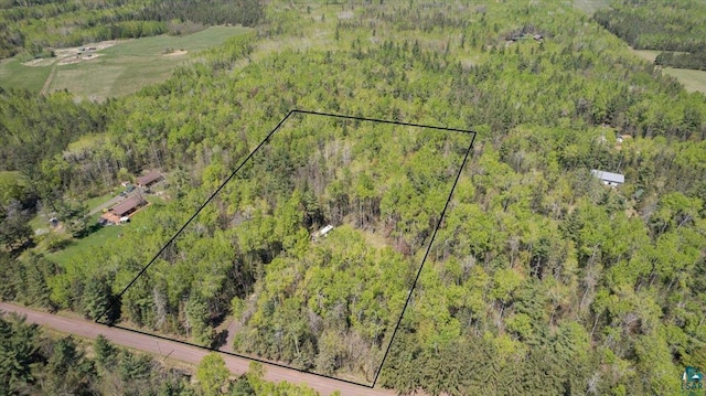 1437 E Severson Rd, Foxboro, WI 54836