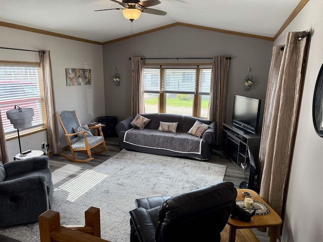 33150 Donna Dr, Prairie Du Chien, WI 53821 - living room featuring ceiling fan, wood finished floors, and lofted ceiling
