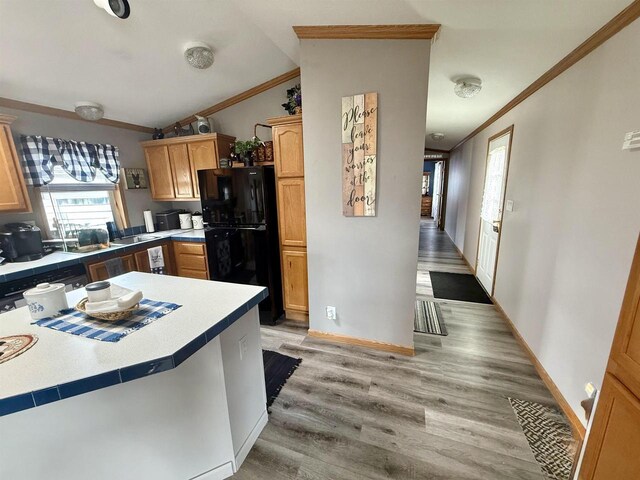 33150 Donna Dr, Prairie Du Chien, WI 53821 - kitchen with freestanding refrigerator, ornamental molding, vaulted ceiling, light wood-style flooring, and light countertops