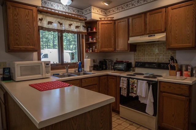 1656 Czech Dr, Friendship, WI 53934 - kitchen with under cabinet range hood, electric range oven, white microwave, a sink, and light countertops