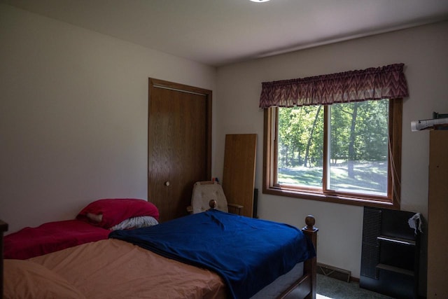 1656 Czech Dr, Friendship, WI 53934 - view of carpeted bedroom