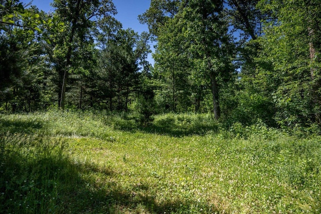 1656 Czech Dr, Friendship, WI 53934 - view of woods