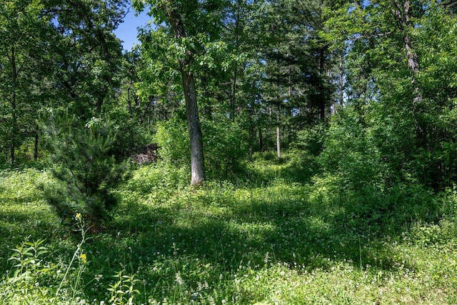 1656 Czech Dr, Friendship, WI 53934 - view of wooded area