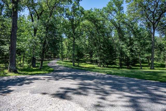 1656 Czech Dr, Friendship, WI 53934 - view of asphalt road