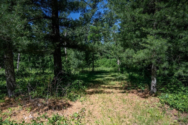 1656 Czech Dr, Friendship, WI 53934 - view of wooded area