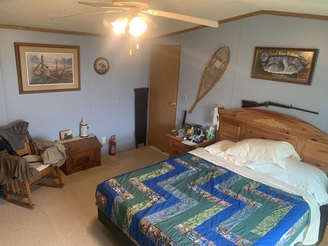 39 Douglas St, Westby, WI 54667 - carpeted bedroom with ornamental molding, a ceiling fan, a textured ceiling, and lofted ceiling