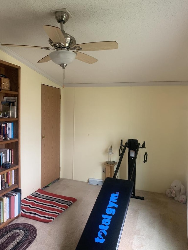 39 Douglas St, Westby, WI 54667 - workout area with carpet floors, vaulted ceiling, a textured ceiling, and a ceiling fan