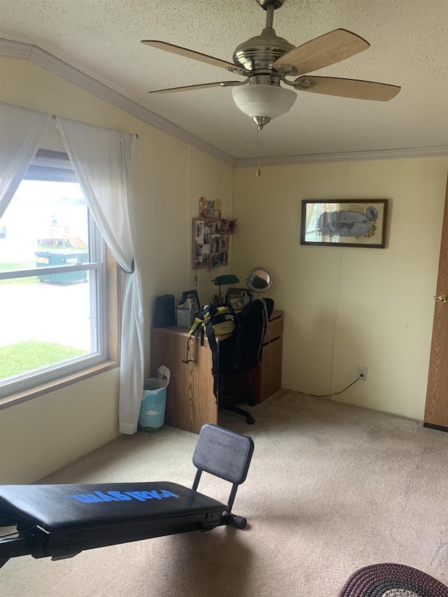 39 Douglas St, Westby, WI 54667 - office area featuring carpet flooring, ceiling fan, lofted ceiling, a textured ceiling, and ornamental molding