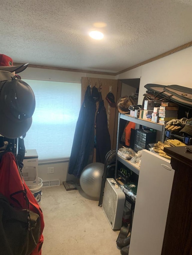 39 Douglas St, Westby, WI 54667 - view of storage