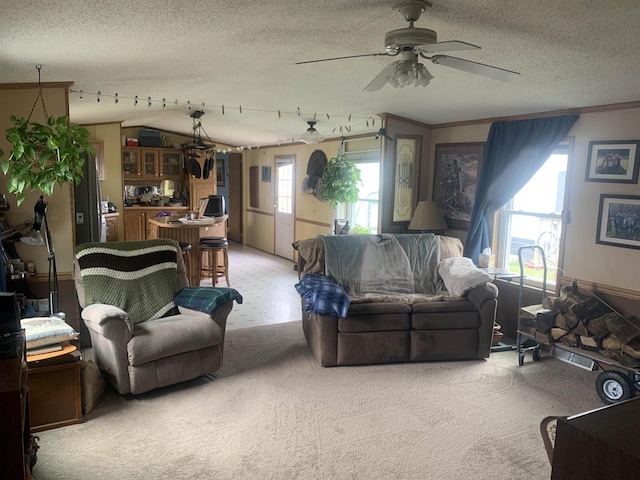 39 Douglas St, Westby, WI 54667 - living area with ceiling fan, a textured ceiling, and light carpet