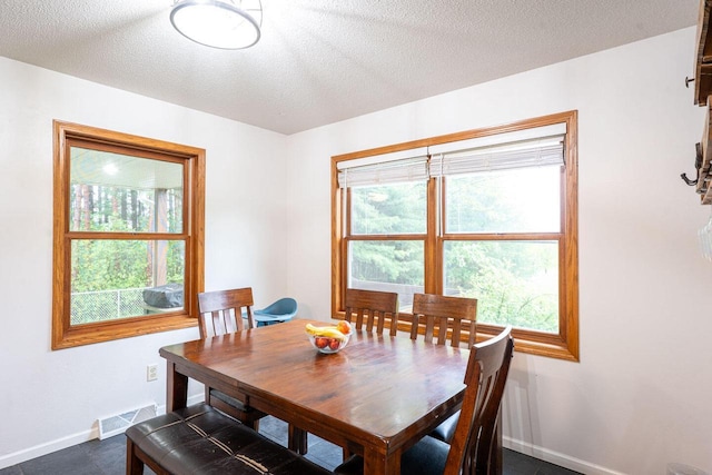 24301 Dexter Ave, Tomah, WI 54660 - dining room with baseboards, plenty of natural light, and a textured ceiling